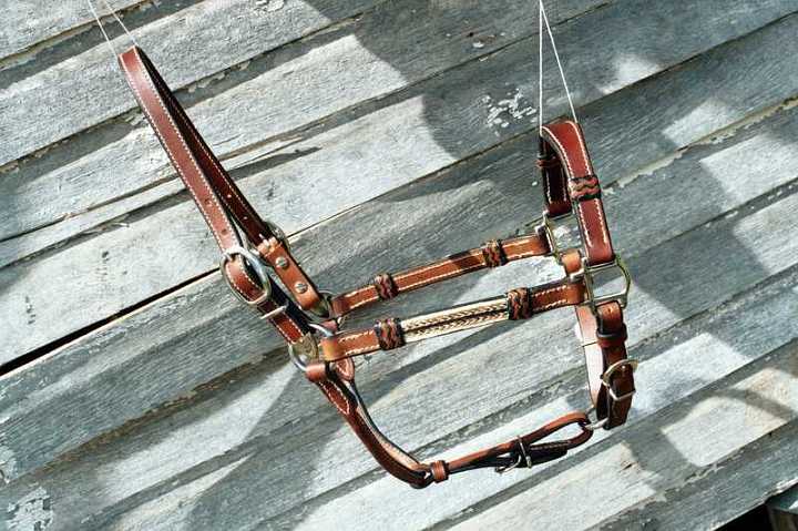 011_8-1.jpg - custom made Show halter with horse hair and braided knots.