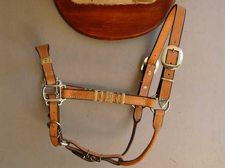 P1110027-1.jpg - Natural leather halter with rawhide braided knots.